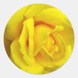 Gelbe Rose Runder Aufkleber