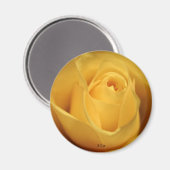 Gelbe Rose, S Cyr Magnet (Vorderseite/Rückseite)