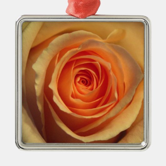 Gelbe Rose Silbernes Ornament (Vorne)
