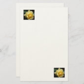 Gelbe Rose Stationery Briefpapier (Vorne/Hinten)
