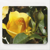 Gelbe Rose- und Ladybugs-Maus Mousepad (Vorne)