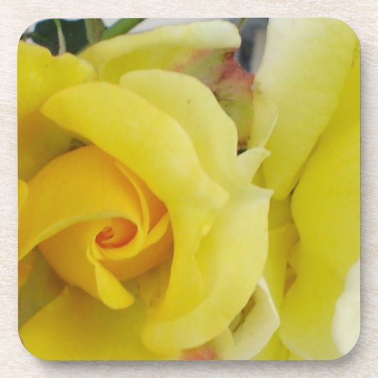 Gelbe Rose Untersetzer (Vorderseite)