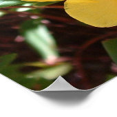 Gelbe Rose von Sharon Print Poster (Ecke)