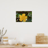 Gelbe Rose von Sharon Print Poster (Küche)