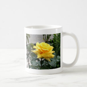 Gelbe Rose von Texas Kaffeetasse