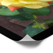 Gelbe Rose von Texas Poster (Ecke)