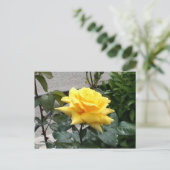 Gelbe Rose von Texas Postkarte (Stehend Vorderseite)
