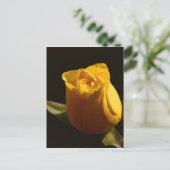 Gelbe Rosen 11 Postkarte (Stehend Vorderseite)
