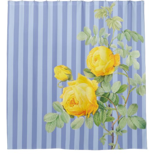 Gelbe Rosen auf blauen Streifen Duschvorhang (Vorderseite)