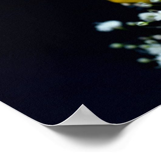 Gelbe Rosen Blume Poster (Ecke)