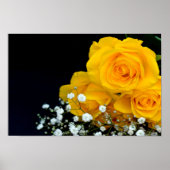 Gelbe Rosen Blume Poster (Vorne)