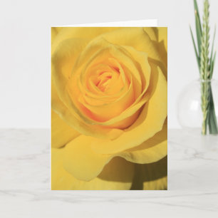 Gelbe Rosen-Blumen-Gruß-Karte, Anmerkungs-Karte Karte