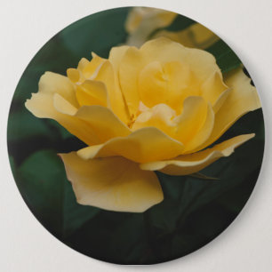Gelbe Rosen Button