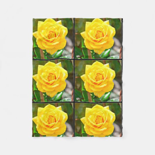 Gelbe Rosen-Fleece-Decke Fleecedecke (Vorderseite)