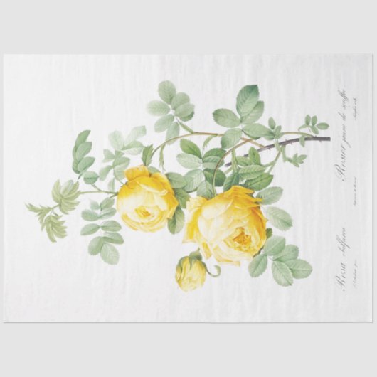 Gelbe Rosen Floral Ephemere Decoupage Seidenpapier (Vorderseite)