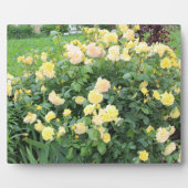 Gelbe Rosen Fotoplatte (Vorderseite)