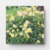 Gelbe Rosen Fotoplatte (Vorderseite)