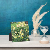 Gelbe Rosen Fotoplatte (InSitu)