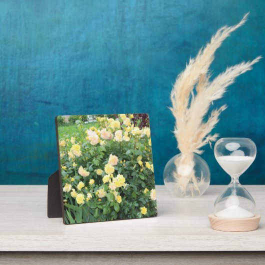 Gelbe Rosen Fotoplatte (InSitu)