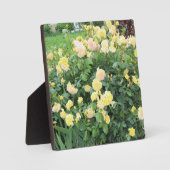 Gelbe Rosen Fotoplatte (Vorderseite)