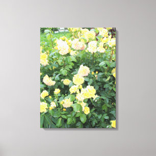 Gelbe Rosen Leinwanddruck