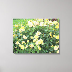 Gelbe Rosen Leinwanddruck