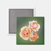 Gelbe Rosen Magnet (Vorderseite/Rückseite)