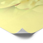 Gelbe Rosen Poster (Ecke)