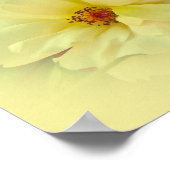 Gelbe Rosen Poster (Ecke)