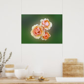 Gelbe Rosen Poster (Küche)