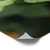 Gelbe Rosen Poster drucken (Ecke)