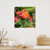 Gelbe Rosen Poster drucken (Küche)