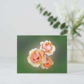 Gelbe Rosen Postkarte (Stehend Vorderseite)