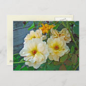 Gelbe Rosen Postkarte (Vorne/Hinten)