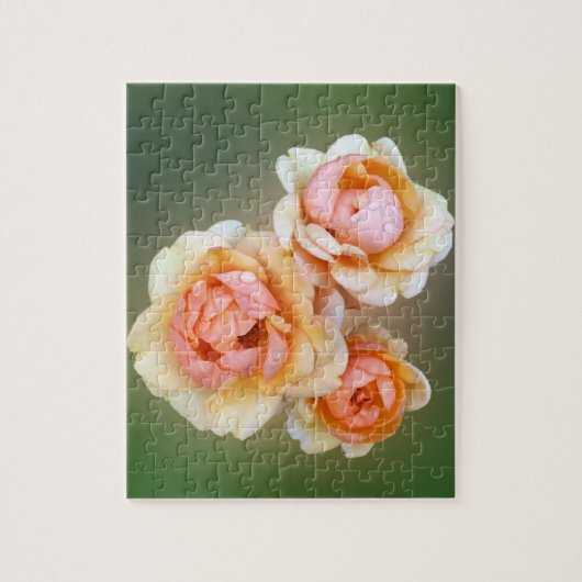 Gelbe Rosen Puzzle (Vertikal)