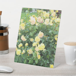 Gelbe Rosen Sockelschild