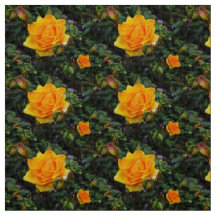 Gelbe Rosen