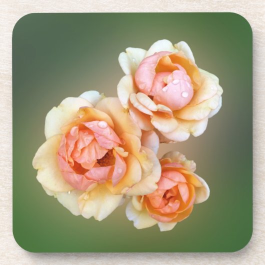 Gelbe Rosen Untersetzer (Vorderseite)