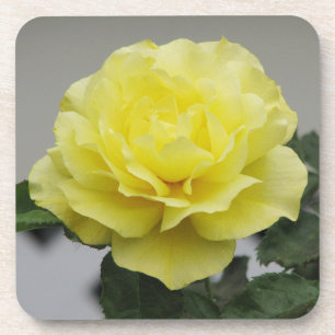 Gelbe Rosen-Untersetzer Untersetzer