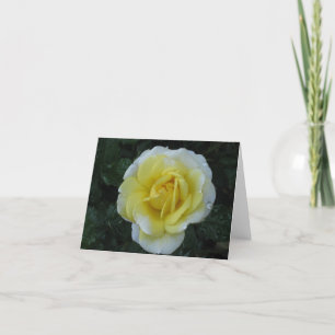 Gelbe Rosenanmerkungskarte Karte