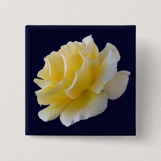 Gelbe Rosenblätter Button (Vorderseite)