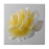 Gelbe Rosenblätter Fliese (Vorderseite)