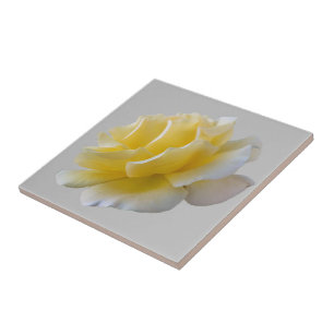 Gelbe Rosenblätter Fliese