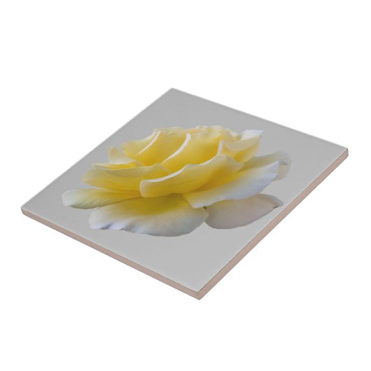 Gelbe Rosenblätter Fliese (Seite)