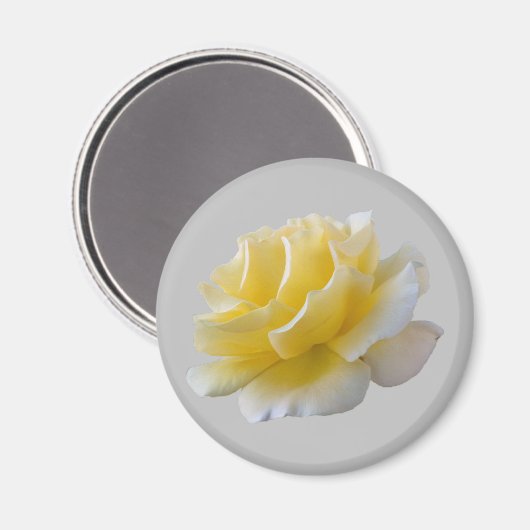 Gelbe Rosenblätter Magnet (Vorderseite/Rückseite)