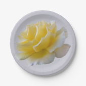 Gelbe Rosenblätter Pappteller (Vorderseite)