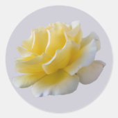 Gelbe Rosenblätter Runder Aufkleber (Vorderseite)