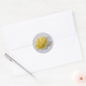 Gelbe Rosenblätter Runder Aufkleber (Umschlag)