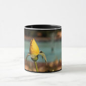 Gelbe Rosenblume 8 Tasse (Zentrum)