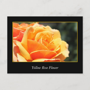 gelbe Rosenblume, Liebe und Romantik Postkarte